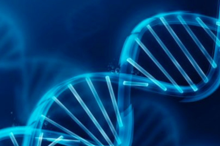 La passione per il caffè è scritta nel nostro DNA